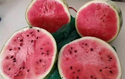 吃麒麟瓜舌头,探寻神秘果实的秘密