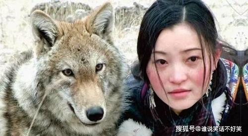 野狼带你回家吃瓜,揭秘回家吃瓜的奇妙之旅