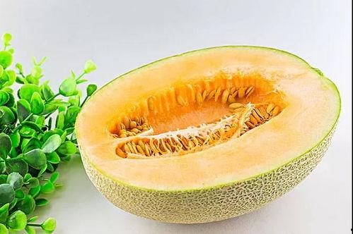 中医养生夏天吃瓜,瓜果飘香，清凉一夏的中医智慧