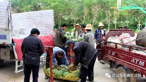 吃瓜乡镇干部,他们眼中的乡村生活与治理