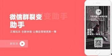吃瓜群引流裂变,轻松打造爆款社群，引爆流量风暴