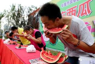 大舞台吃瓜,揭秘娱乐圈的“吃瓜”盛宴