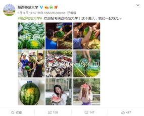 吃瓜列表,一场全民参与的娱乐盛宴