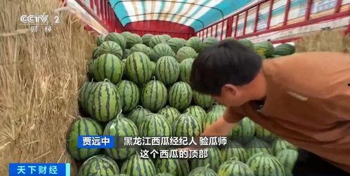 同城陪拍吃瓜,吃瓜群众的新玩法