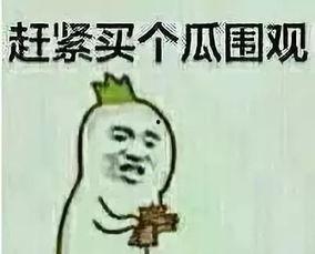 有趣的群众吃瓜,揭秘网络热议背后的趣味人生