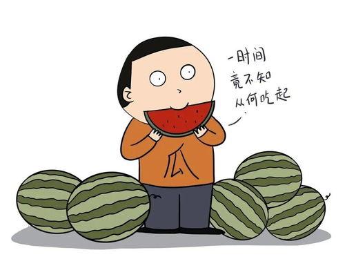 英瓜怎么吃,探索美味新境界